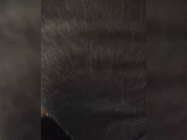 Offline Andr86mskk on BongaCams