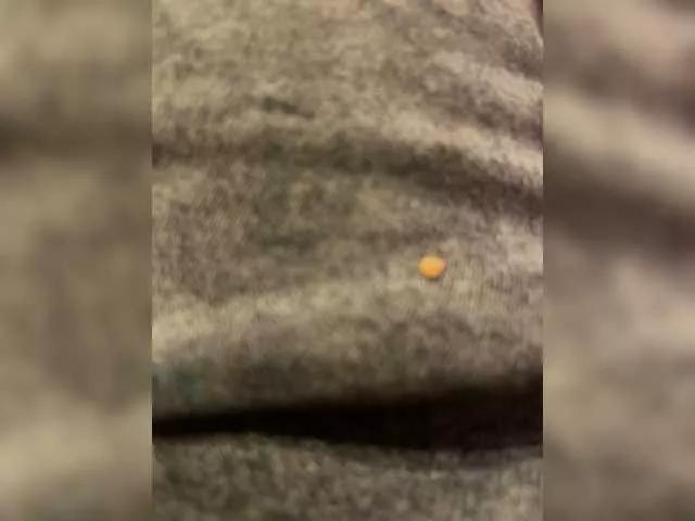 Offline Astimax on BongaCams