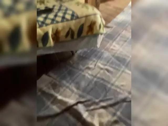 Offline Chemezoff on BongaCams