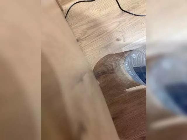 Digitossa on BongaCams 