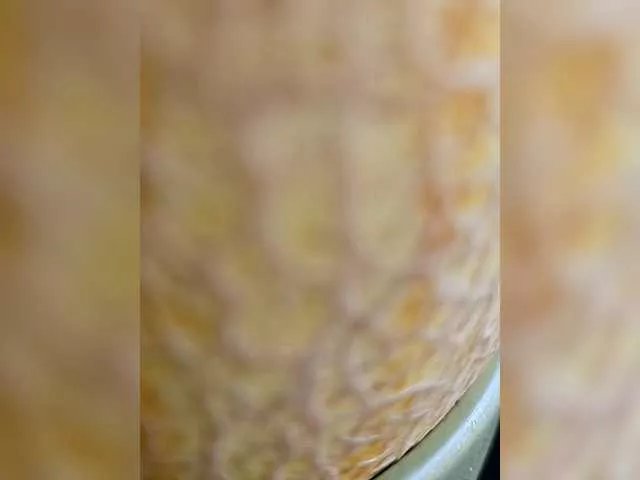 Offline Dii-6 on BongaCams