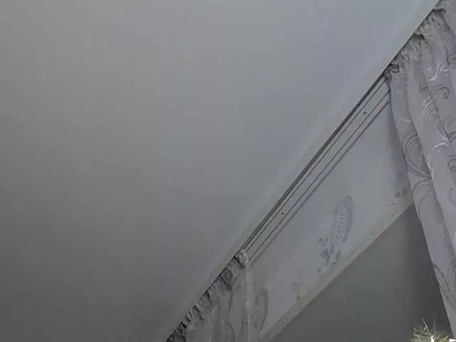 Offline Fox-baby on BongaCams