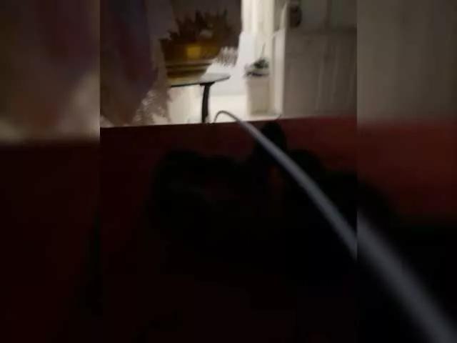 KarinaLuxX on BongaCams 