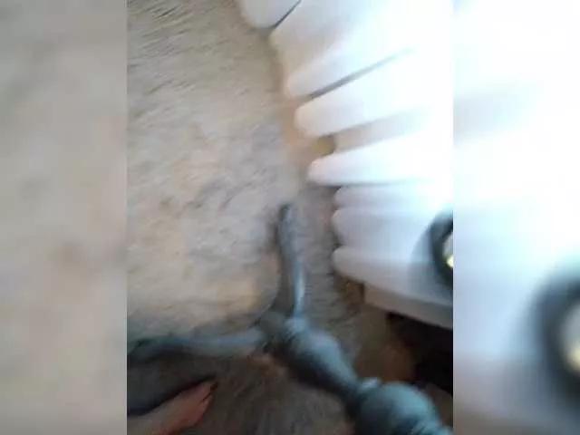 Offline Koshecka77 on BongaCams