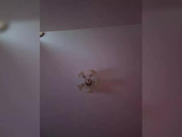 Offline Maria-5 on BongaCams