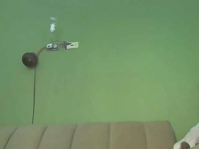 Offline MsPurrfect on BongaCams