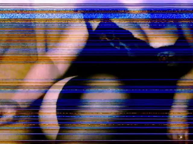reis245 on BongaCams 