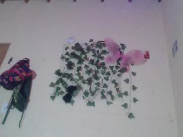 Offline sebastian-nathasha on BongaCams