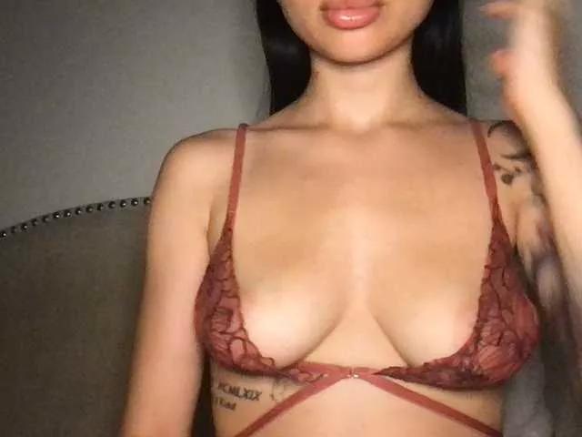 Xoxcat on BongaCams 