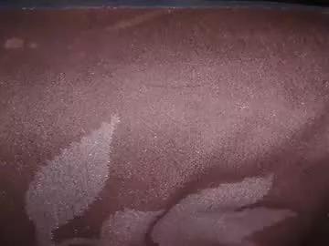 Freechat sundicksun on Chaturbate