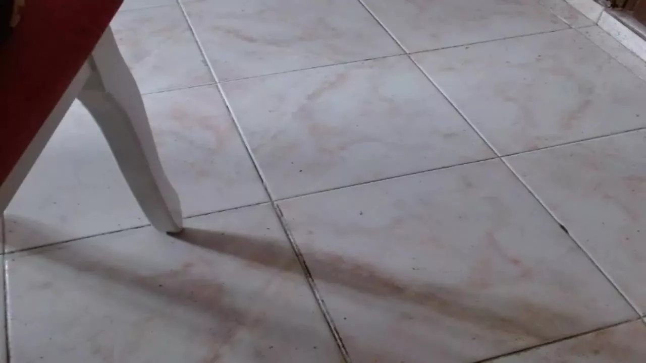 Offline PhoenixEngel on Streamray