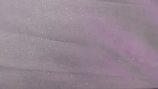 evaleribigtits18 on StripChat