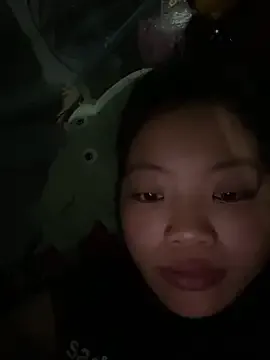 StripChat Herry118 is Freechat Herry118 — Happy New Year VietNam